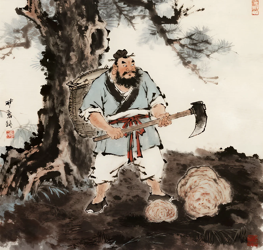 宋朝樵夫砍柴,在树下偷听了两只太岁的惊天秘密,他立刻挖开树洞,从此