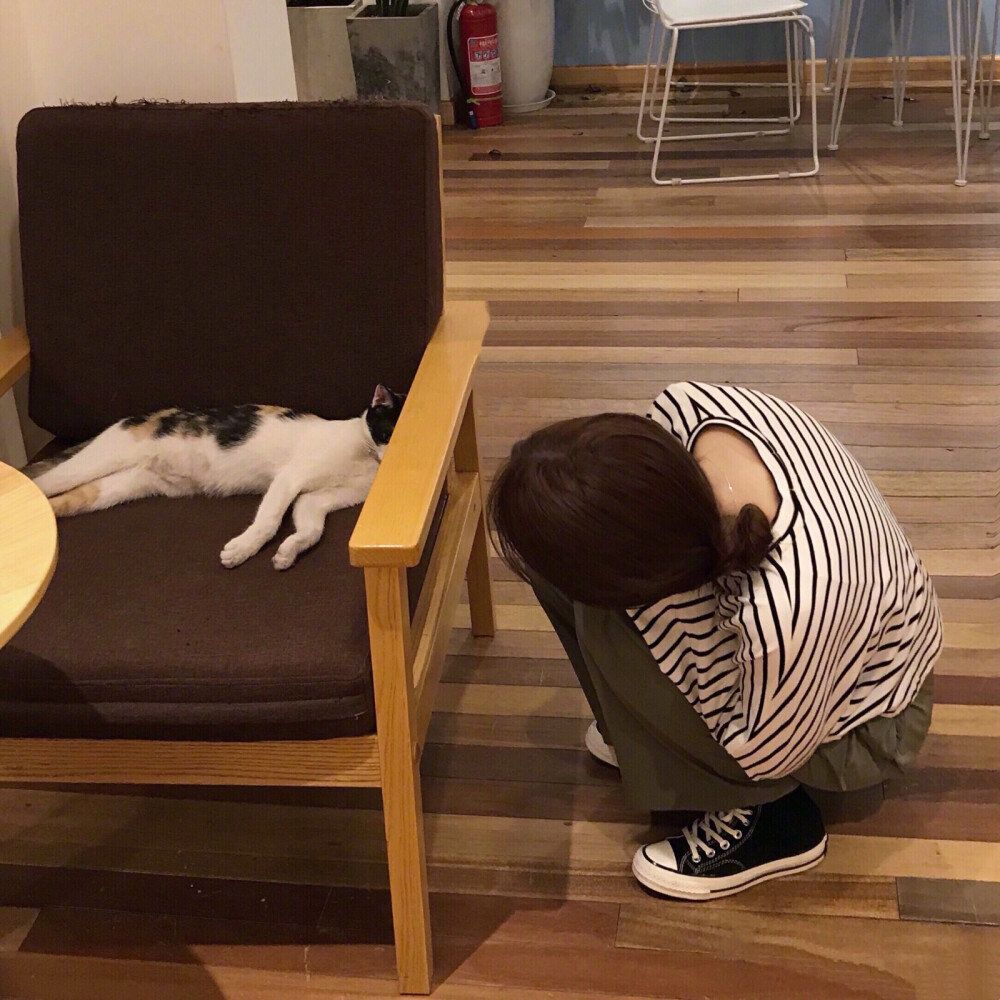小仙女都用这样的微信头像—女人与猫