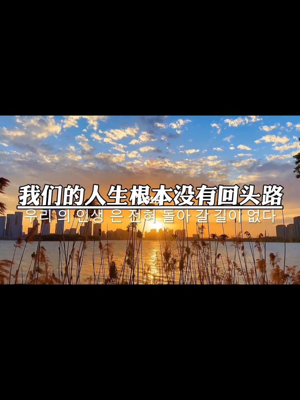 人生,没有回头路;感情,无法删除重启.