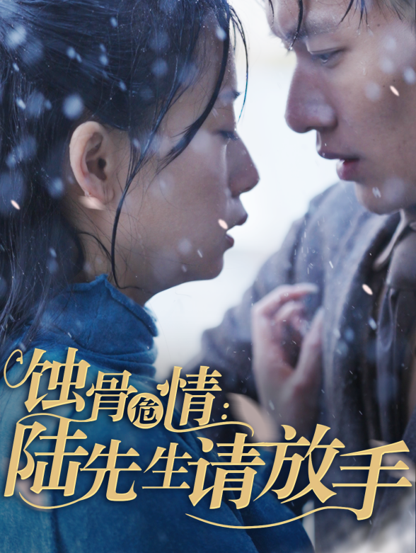 蚀骨危情：陆先生请放手封面图