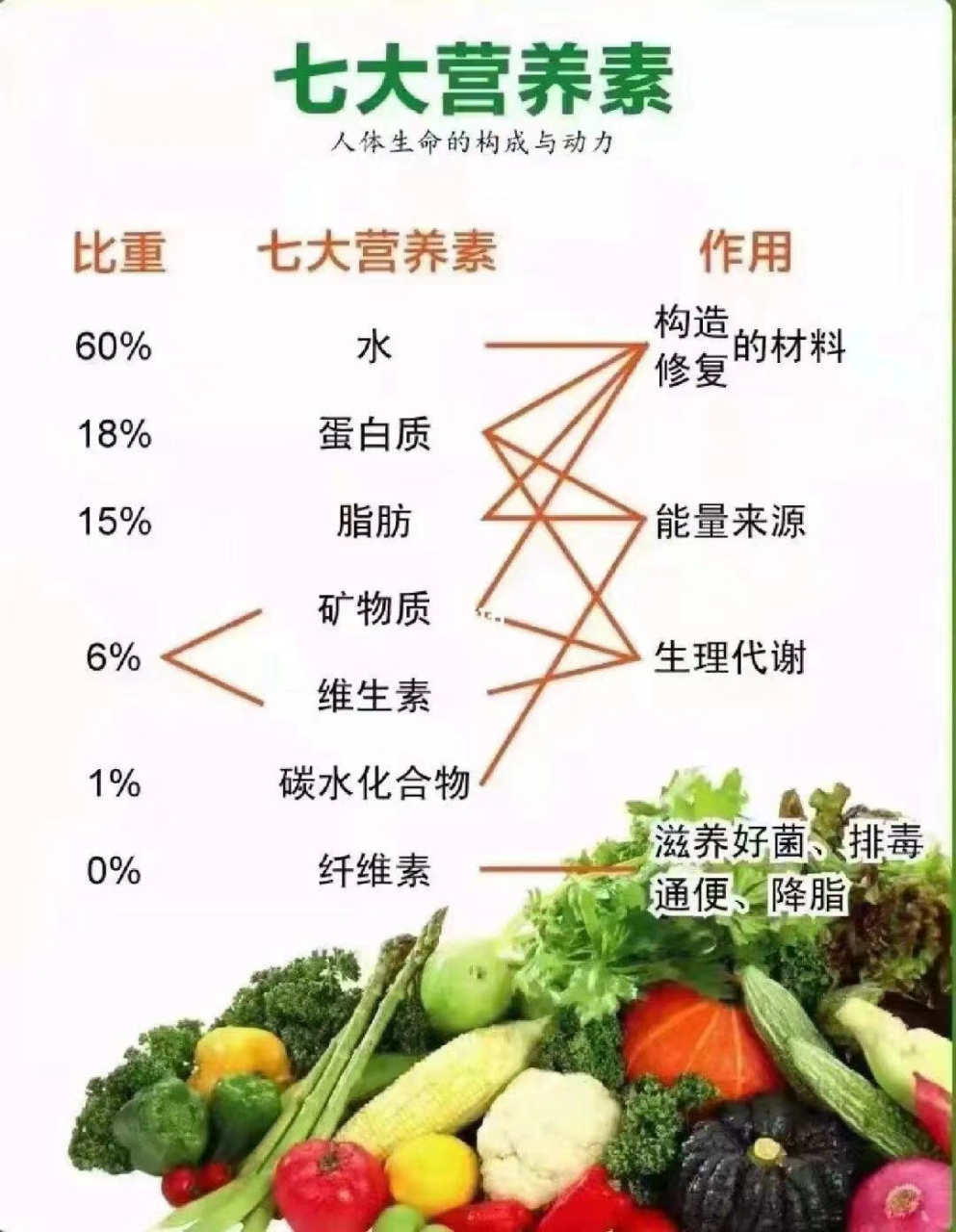 [心]早安营养小知识: 《国民营养计划2017-2030年》:营养是人类维持