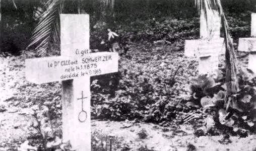 "非洲圣人"史怀哲的传奇人生,一个敬畏生命的人