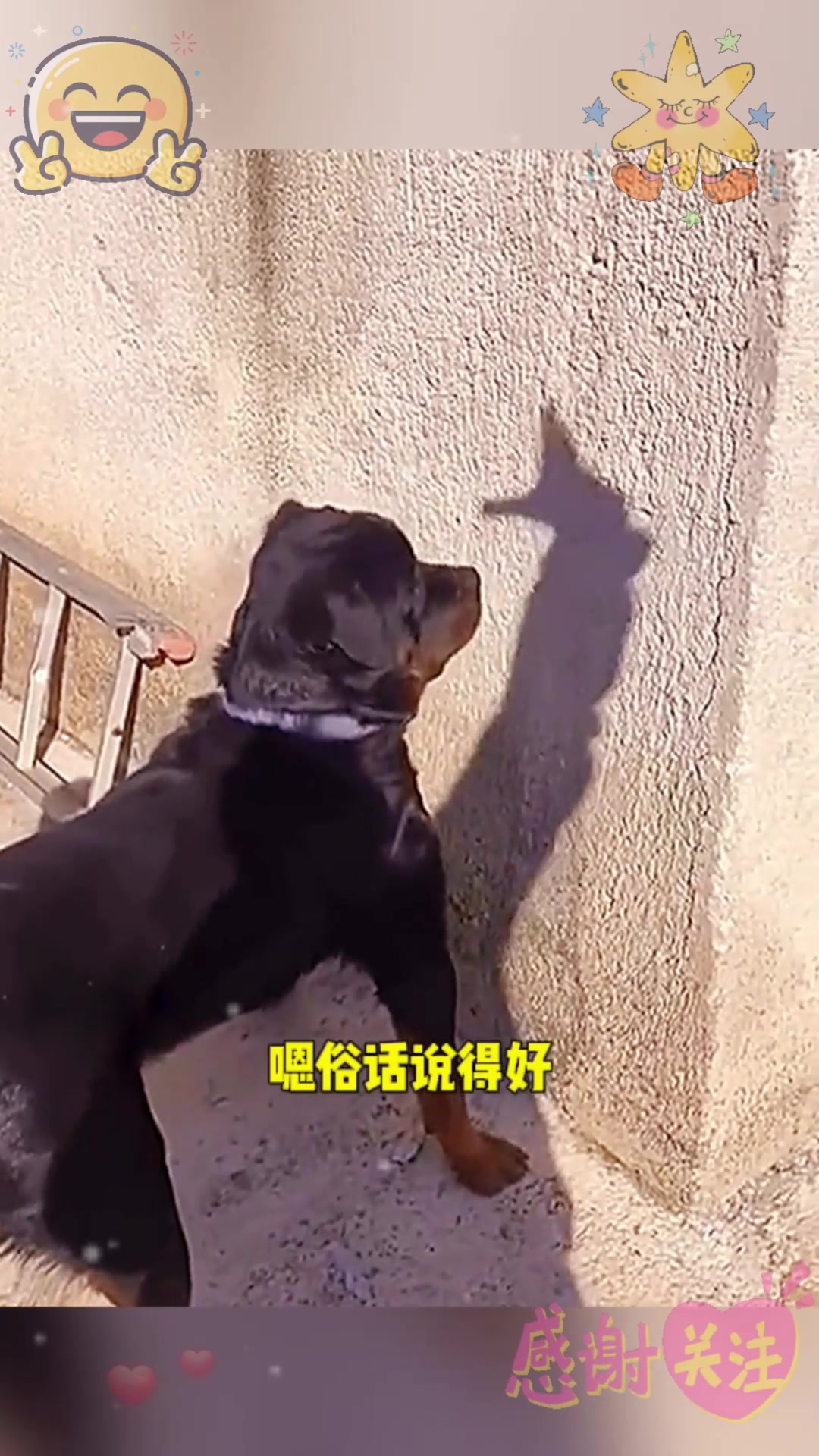 二狗子挺配合呀不错