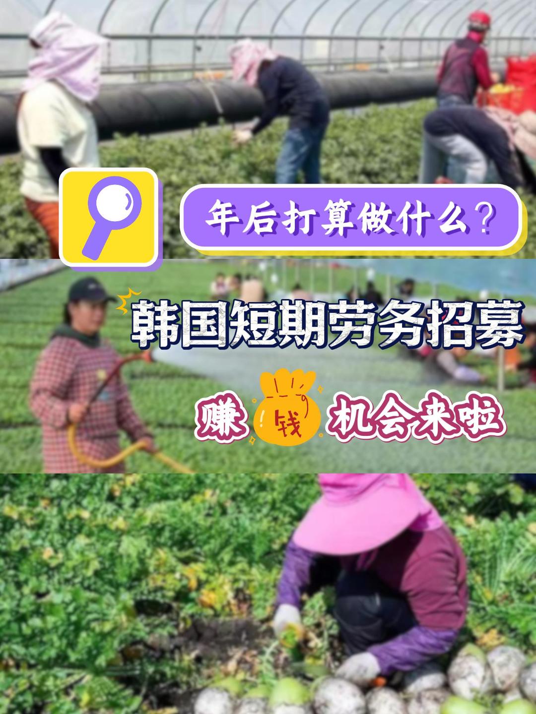 韩国短期务工申请条件 韩国短期劳务 韩国留学申请条件 韩国短期务工