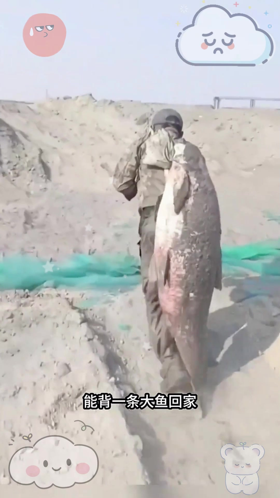 这是什么鱼呢,这也太大一条了