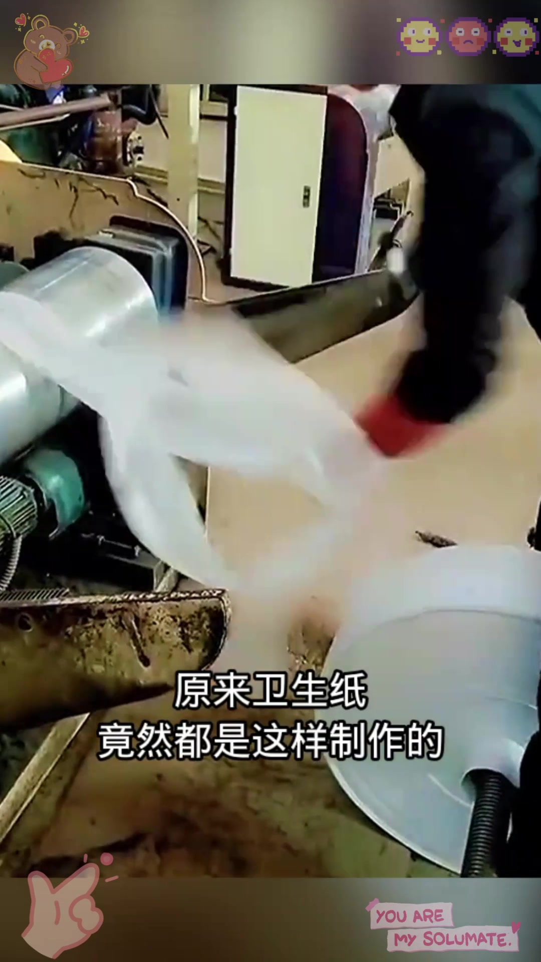 卫生纸制作过程,原来这样制作!