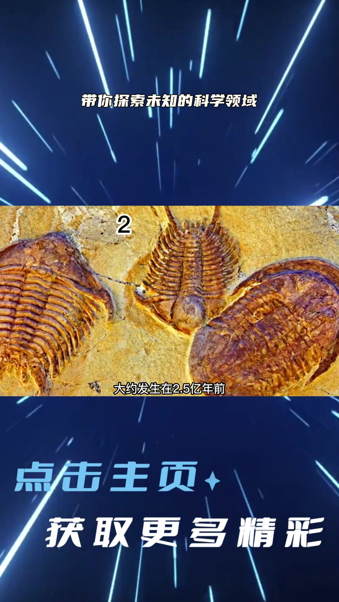 第五次生物大灭绝图片