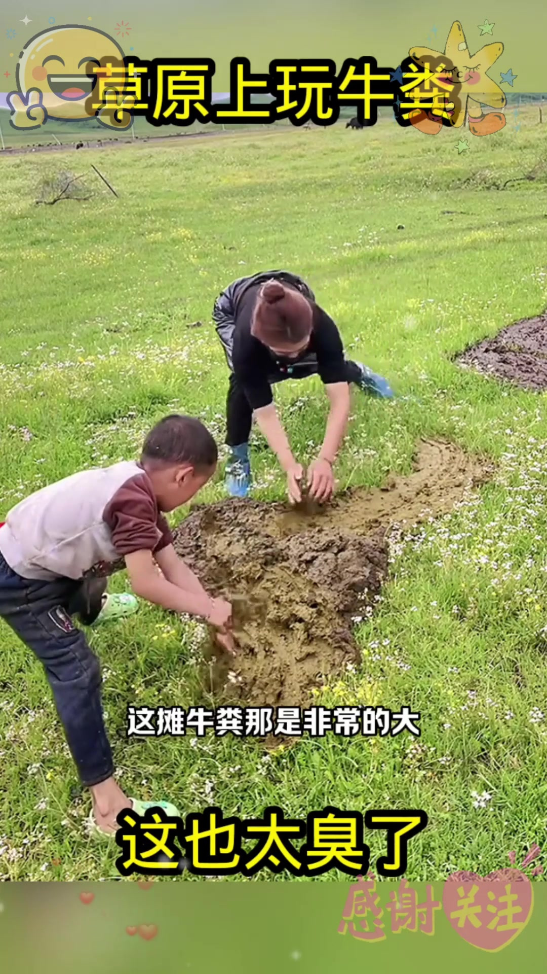 草原上玩牛粪,这也太臭了!