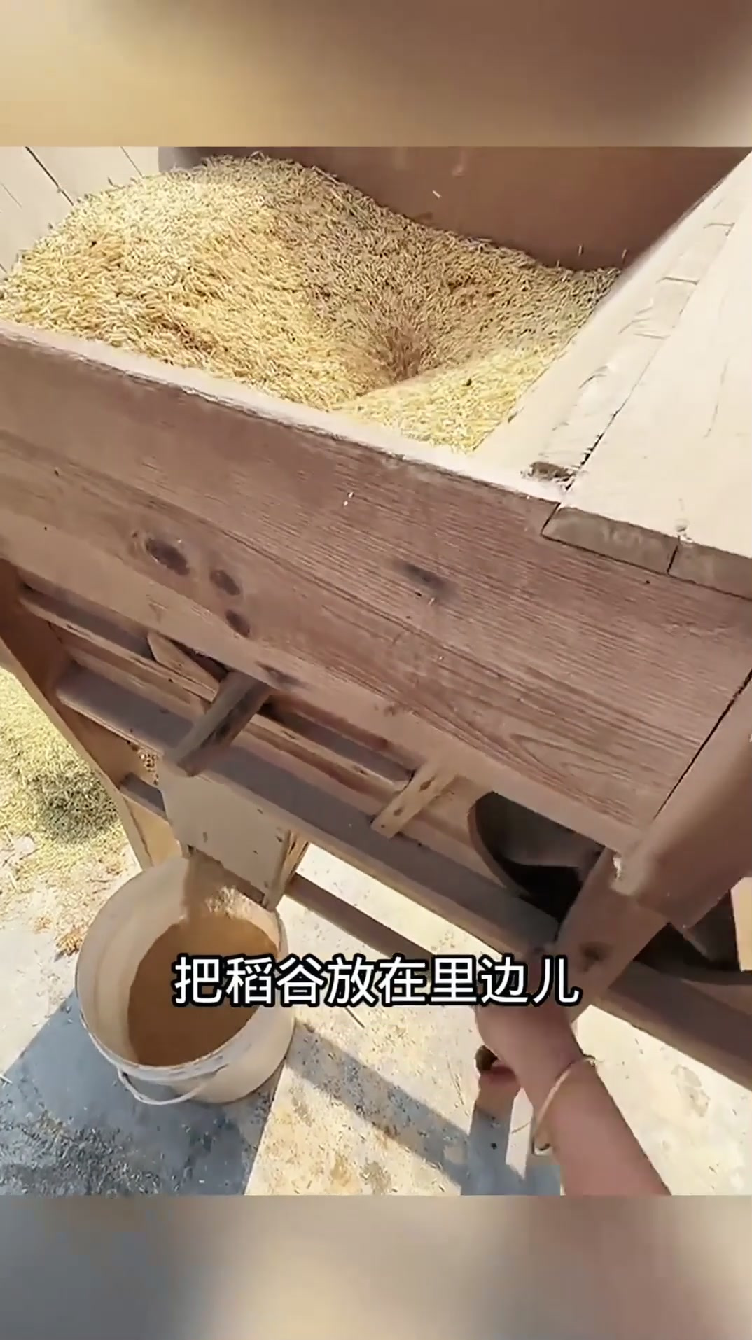 木质稻谷脱粒机,见过的都老了!