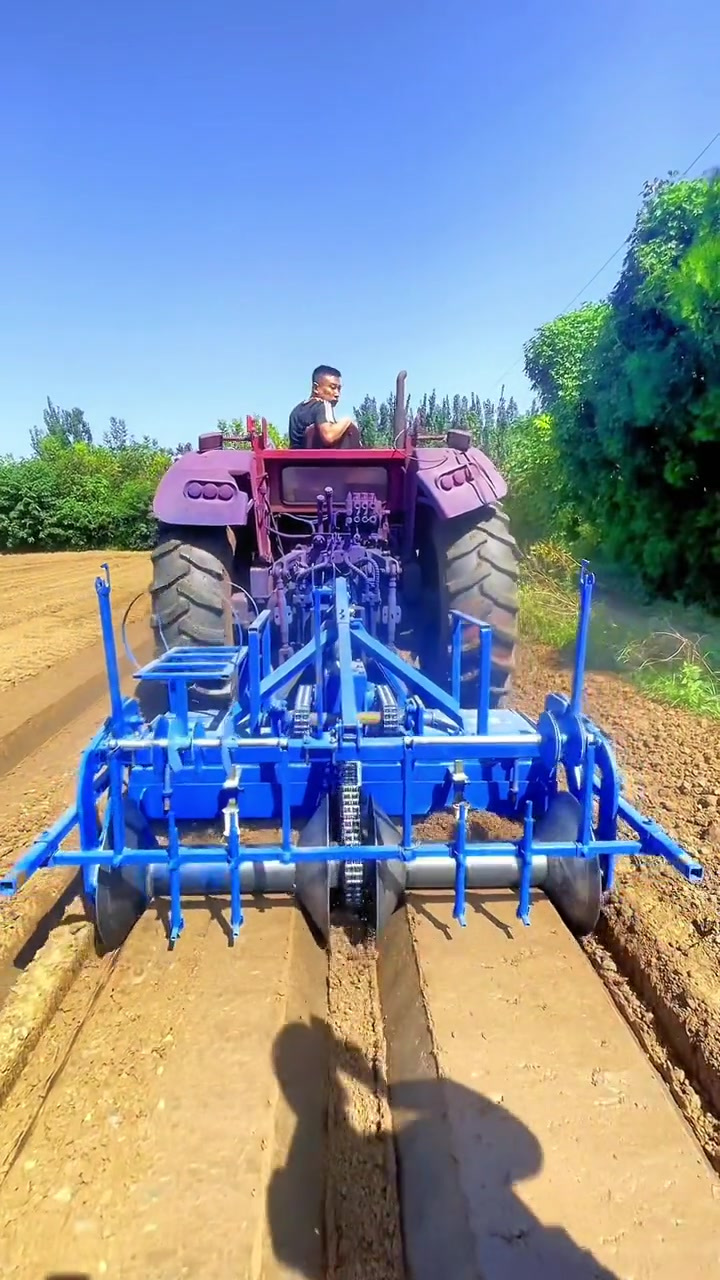 多功能萝卜白菜,起垄机两垄四行旋耕起垄播种同时进行,省时省力