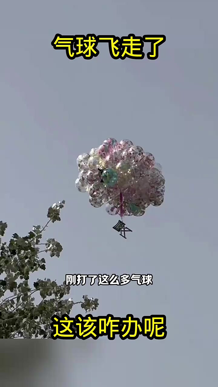 飞天气球今日情况