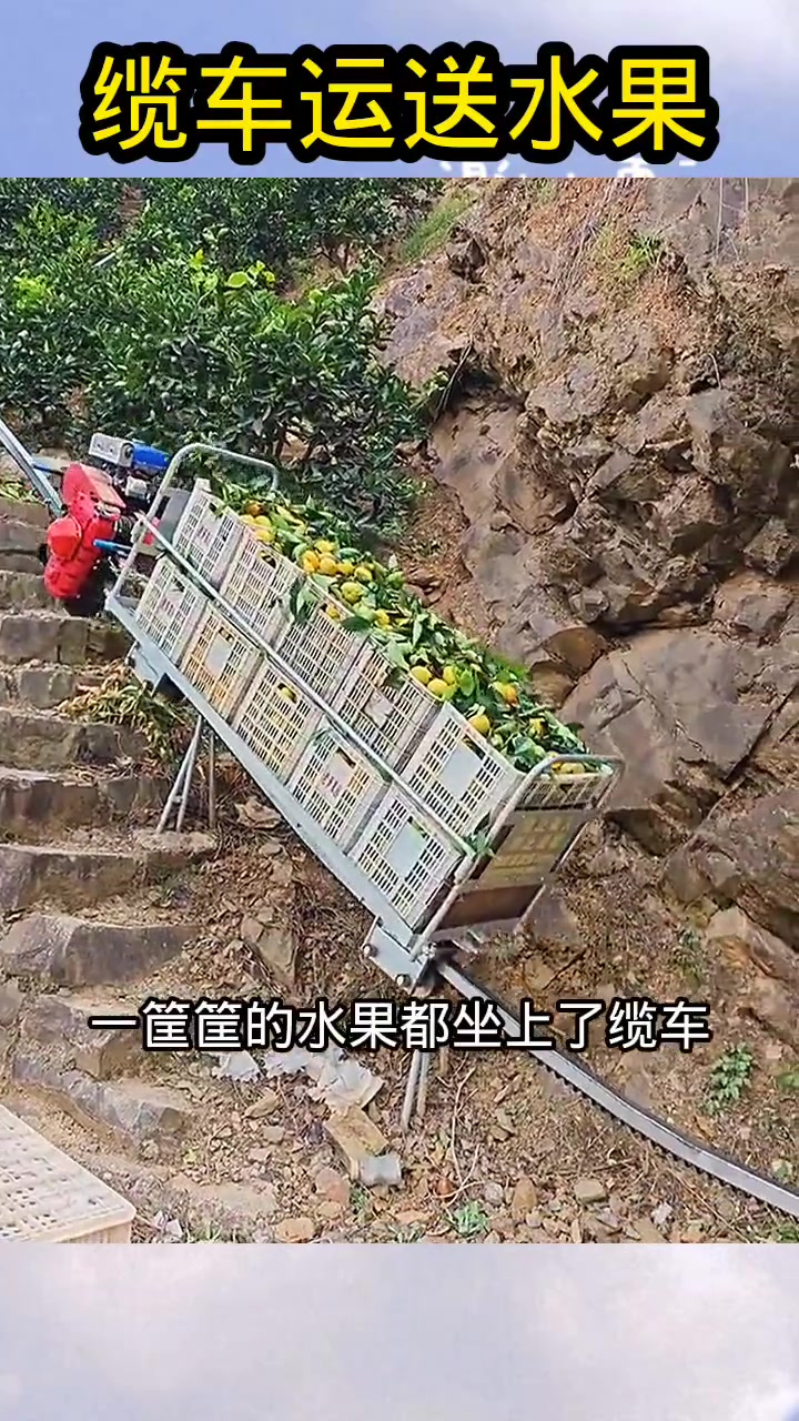 高科技水果缆车运输助力农民轻松收成
