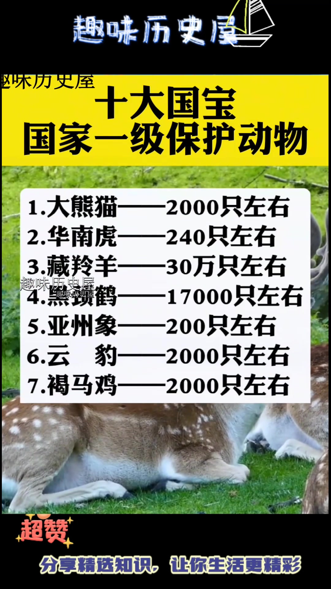 10个保护动物的名称