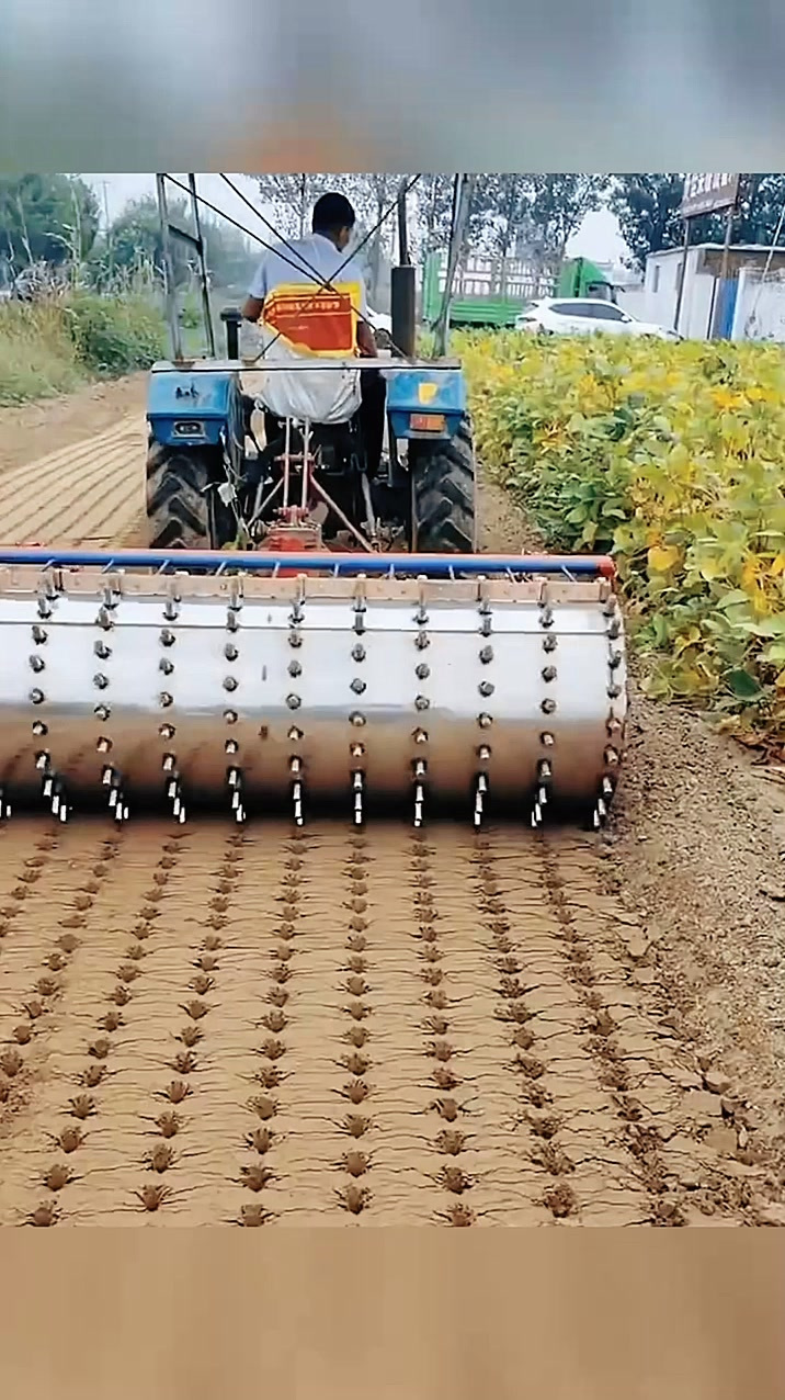 机械化种大蒜,涨见识了!