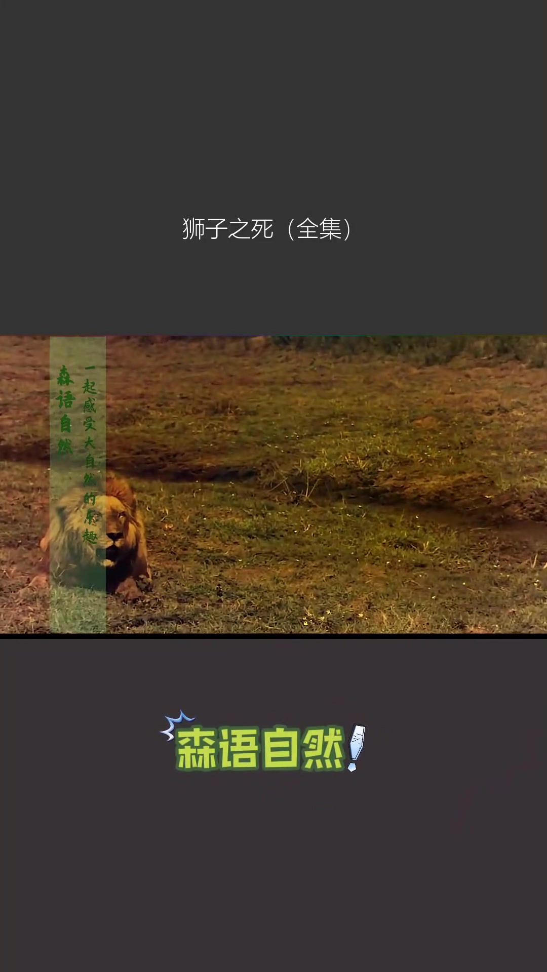 狮子之死