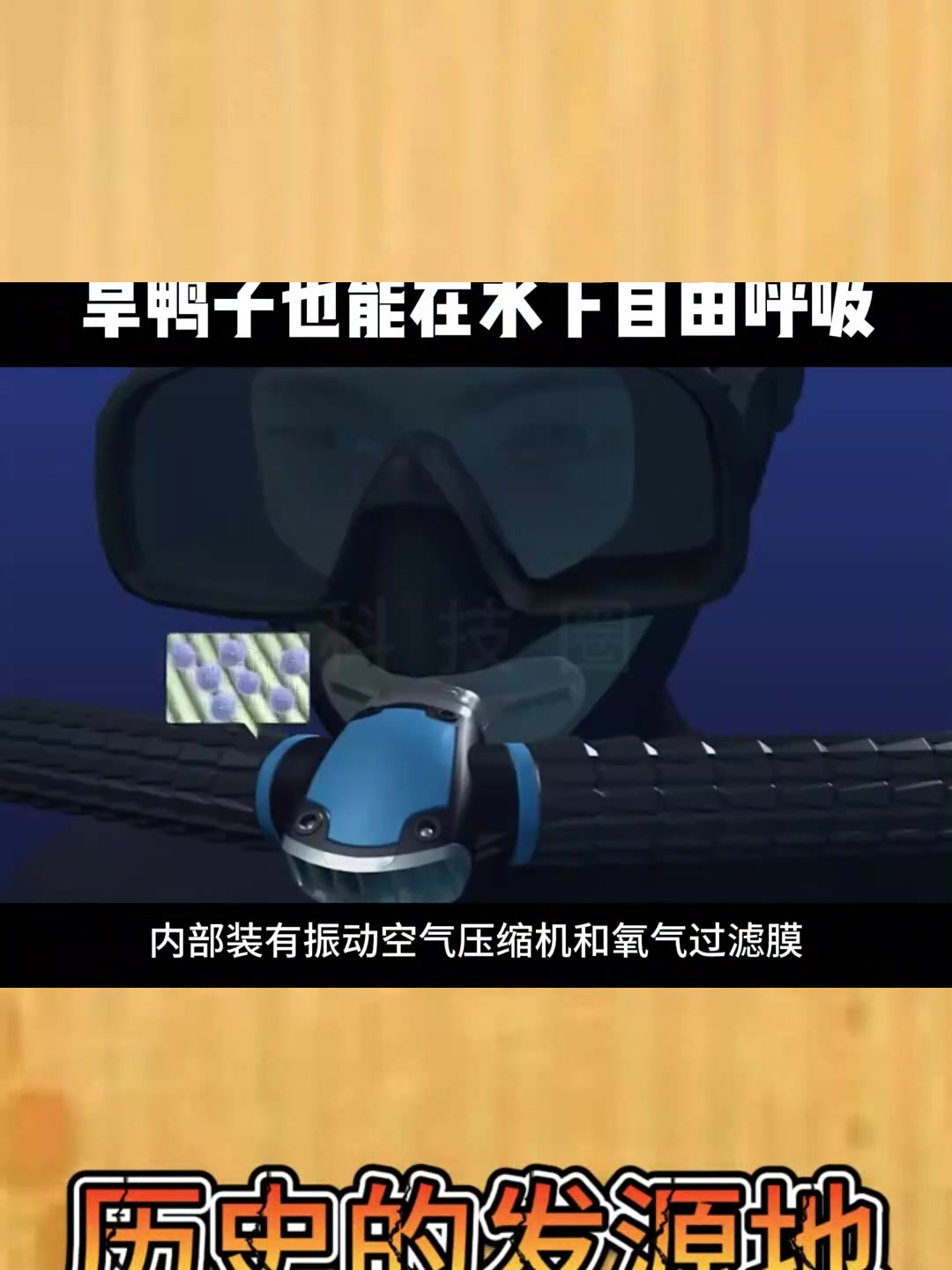 我国发明人造"鱼鳃",旱鸭子也能在水下自由呼吸