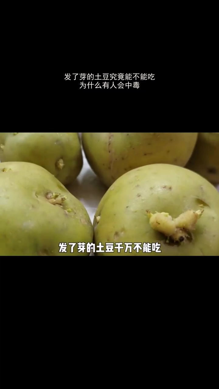 土豆芽中毒图片