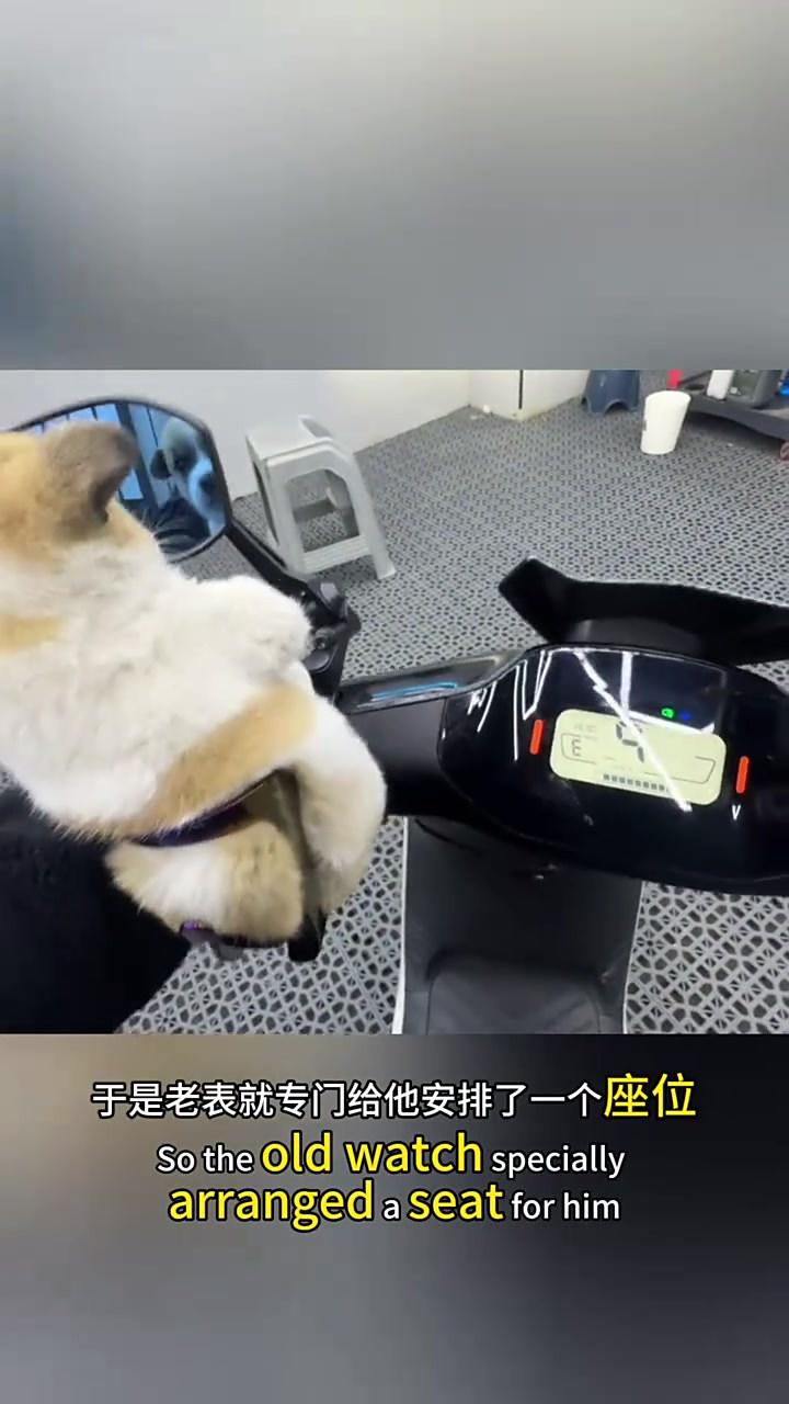 为什么全身发抖