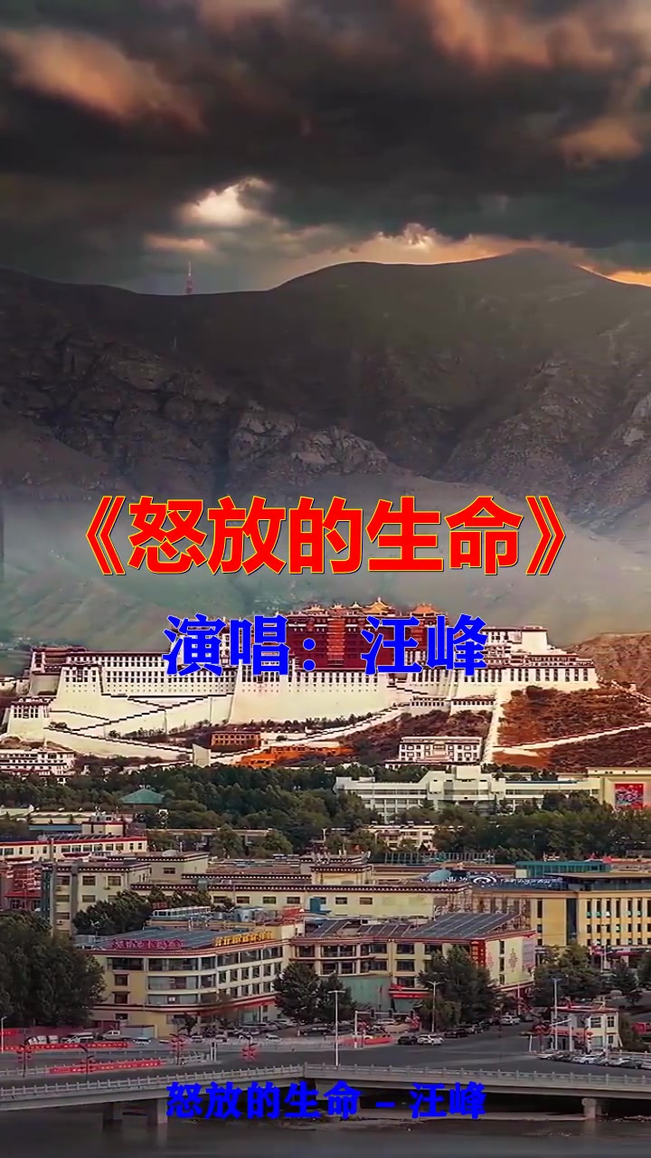 怒放的生命为主题的事例有哪些(怒放的生命为题写一篇作文)