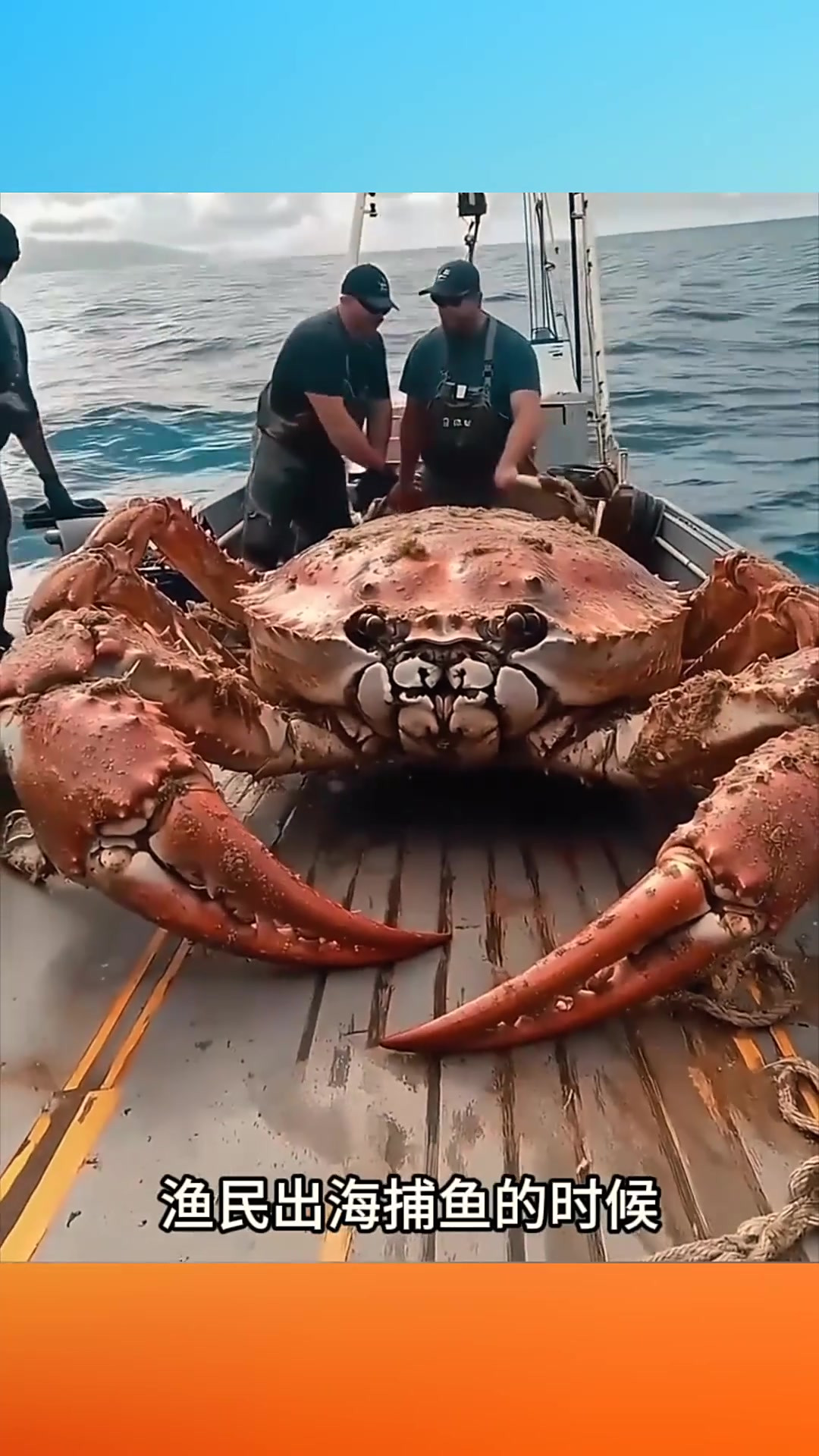 亲眼见证:出海捕鱼竟抓获巨大红壳帝王蟹的奇妙时刻