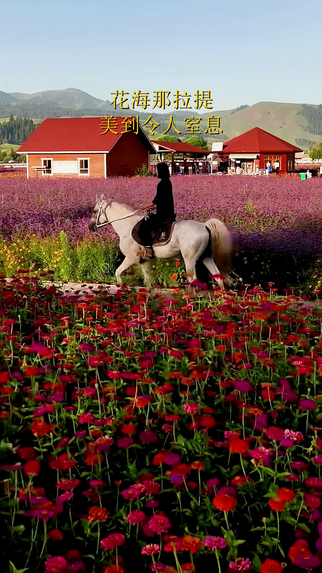 花海那拉提,美到令人窒息