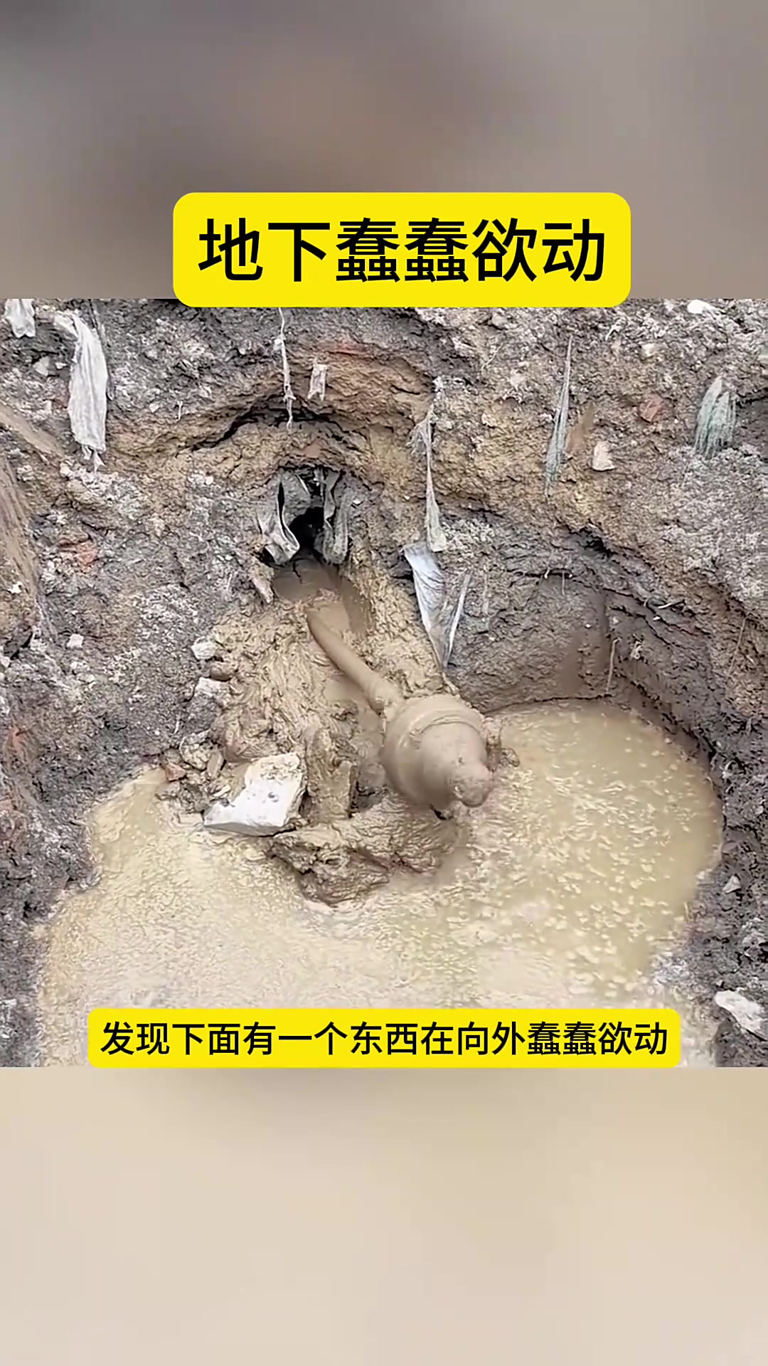 坑洞里的秘密=洞里的秘密尸骸到底甚么来源