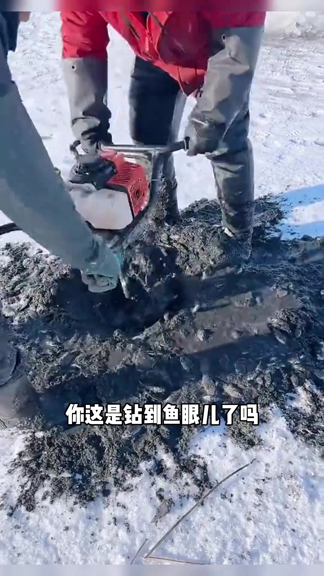 关于亩产18万斤鱼视频的信息