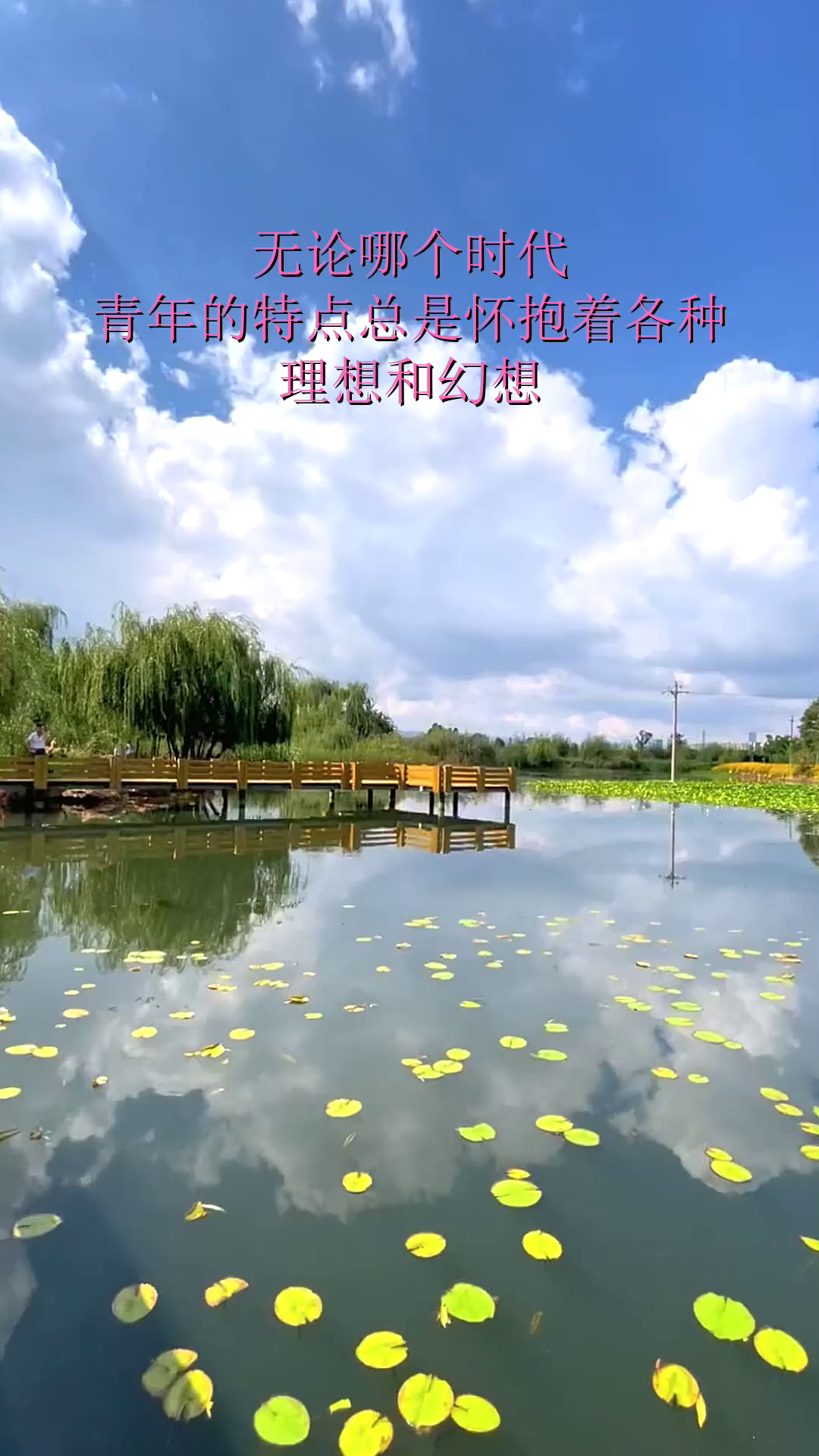理想有啥特征(理想具有什么样的特征?)