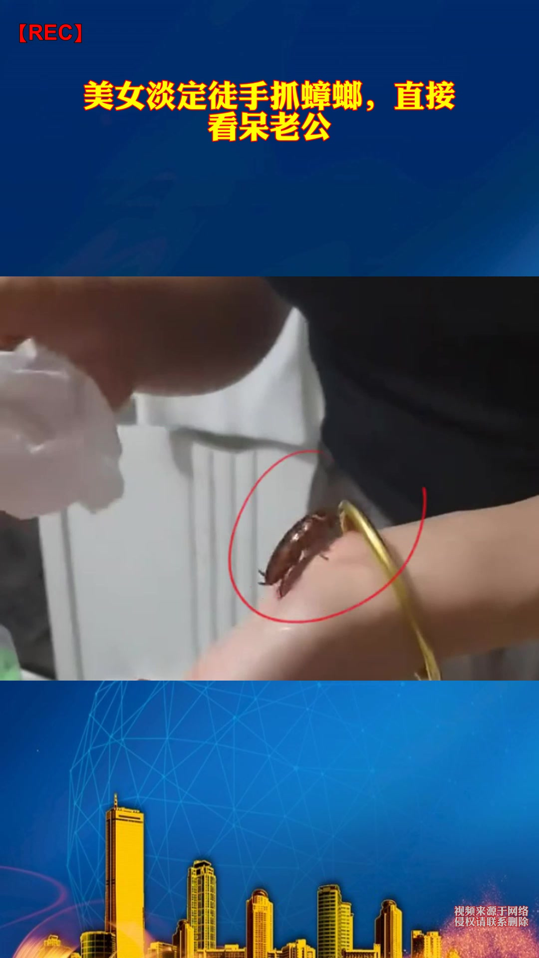 美女淡定徒手抓蟑螂,直接看呆老公