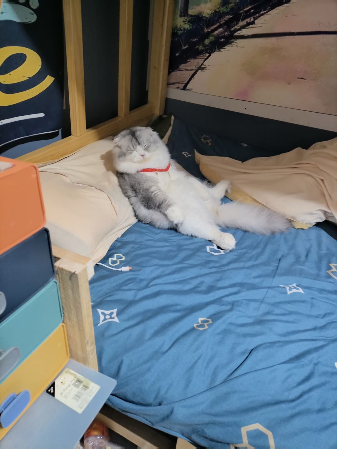 难受得不行去厕所洗了把脸回来发现猫猫在模仿我这些天病怏怏的样子