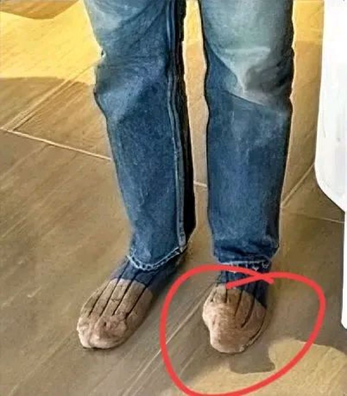 梁朝伟尴尬的脚趾扣地,是社恐实锤了!  梁朝伟刘嘉玲合影料理大师,脸