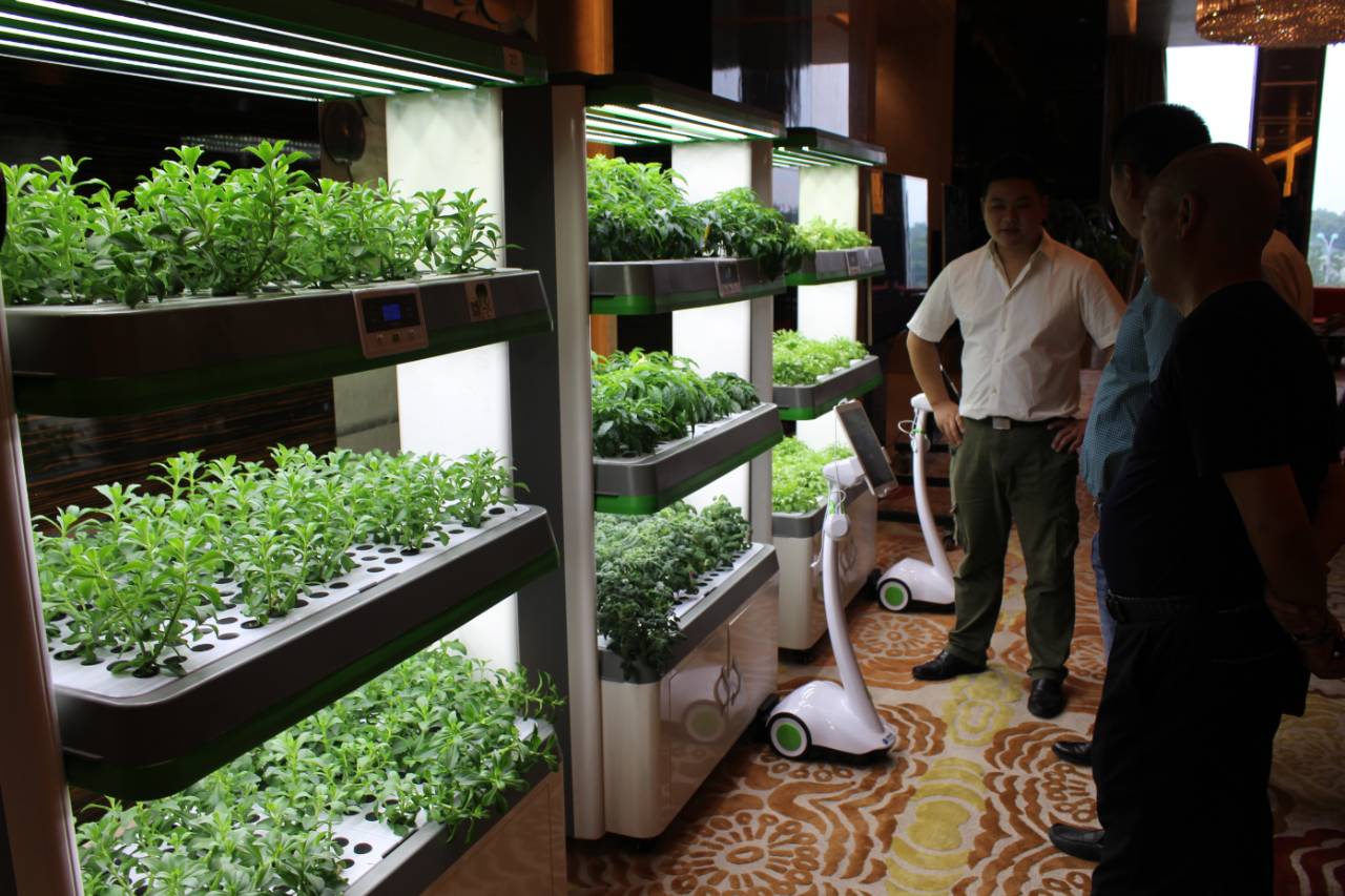 ai绿色新科技:家用无土栽培家庭智能种菜机