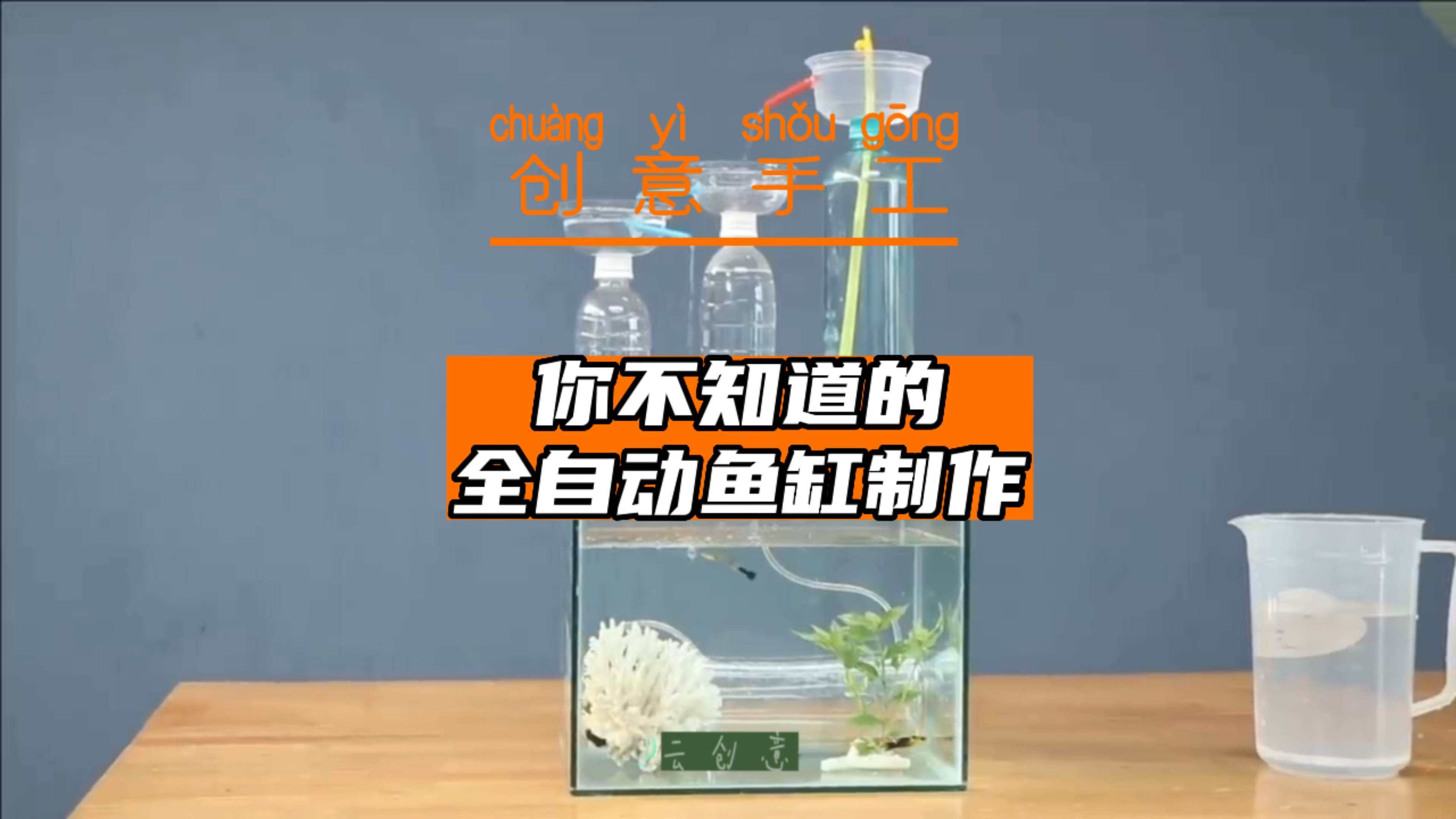 仔细看,通过几个塑料瓶就制作起来的不用电自动水循环的鱼缸