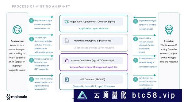 IP与NFT生态系统：探究NFT的潜力与优势