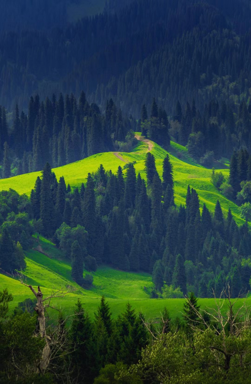 这个夏天想跟你去新疆,去看看草原雪山的风光,去红色的峡谷感受壮美