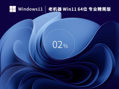 Win 11 22H2 64位 专业精简版 V2023.03 官方特别优化版