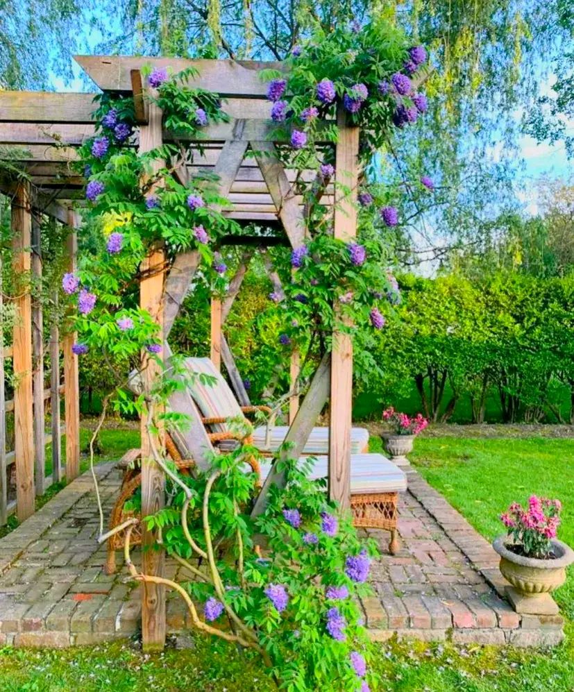 田园风格花园,梦想小院不问凡尘琐事