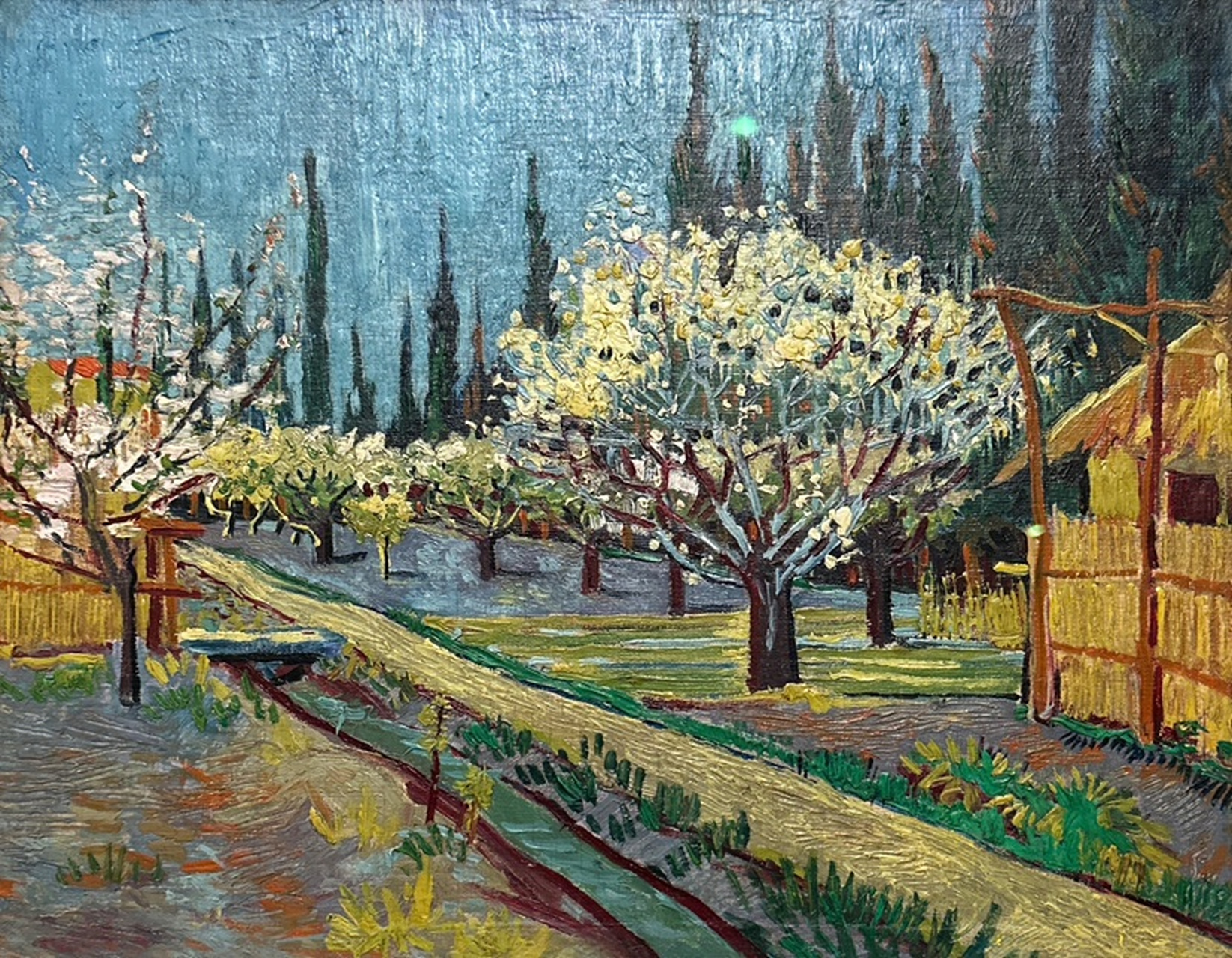 纽约大都会博物馆的"梵高的柏树"(van goghs cypresses)特展,是 全球