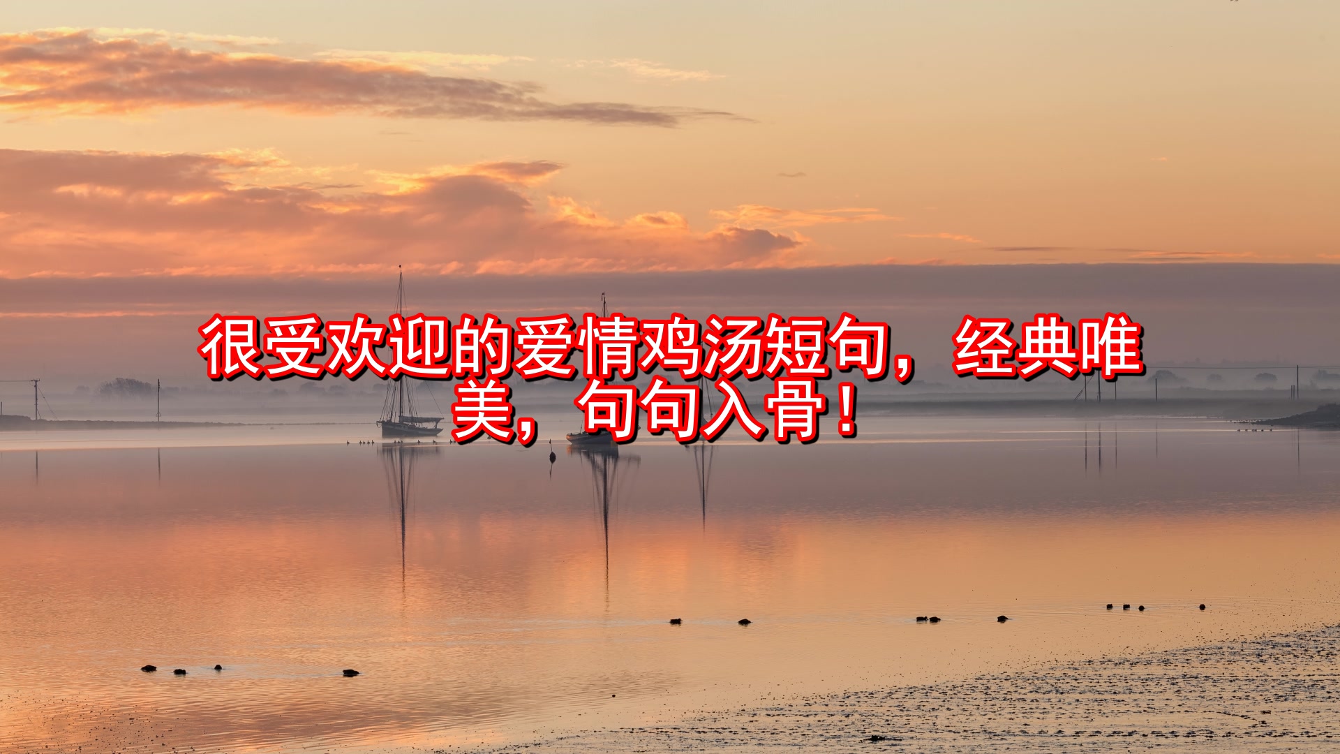 很受欢迎的爱情鸡汤短句,经典唯美,句句入骨!