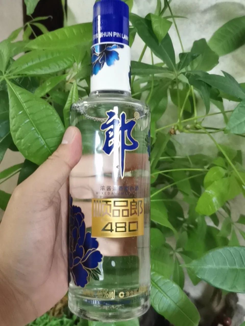 [今天好酒推荐]郎酒顺品郎 郎酒是产自四川的著名白酒,对于赤水河左岸