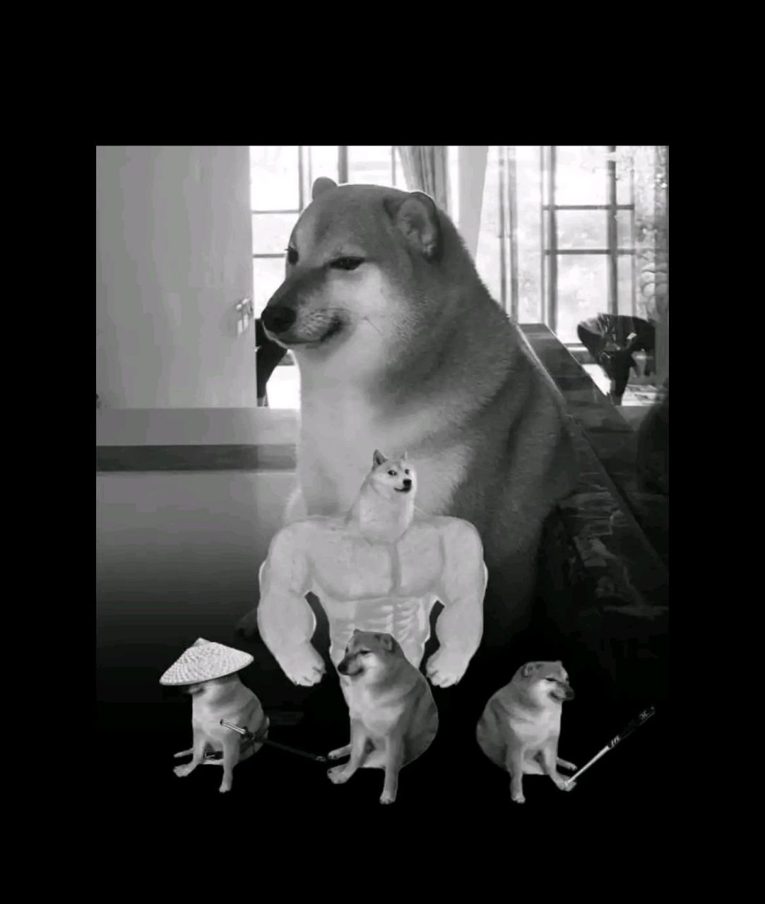 表情包柴犬cheems离世,心中充满感慨.