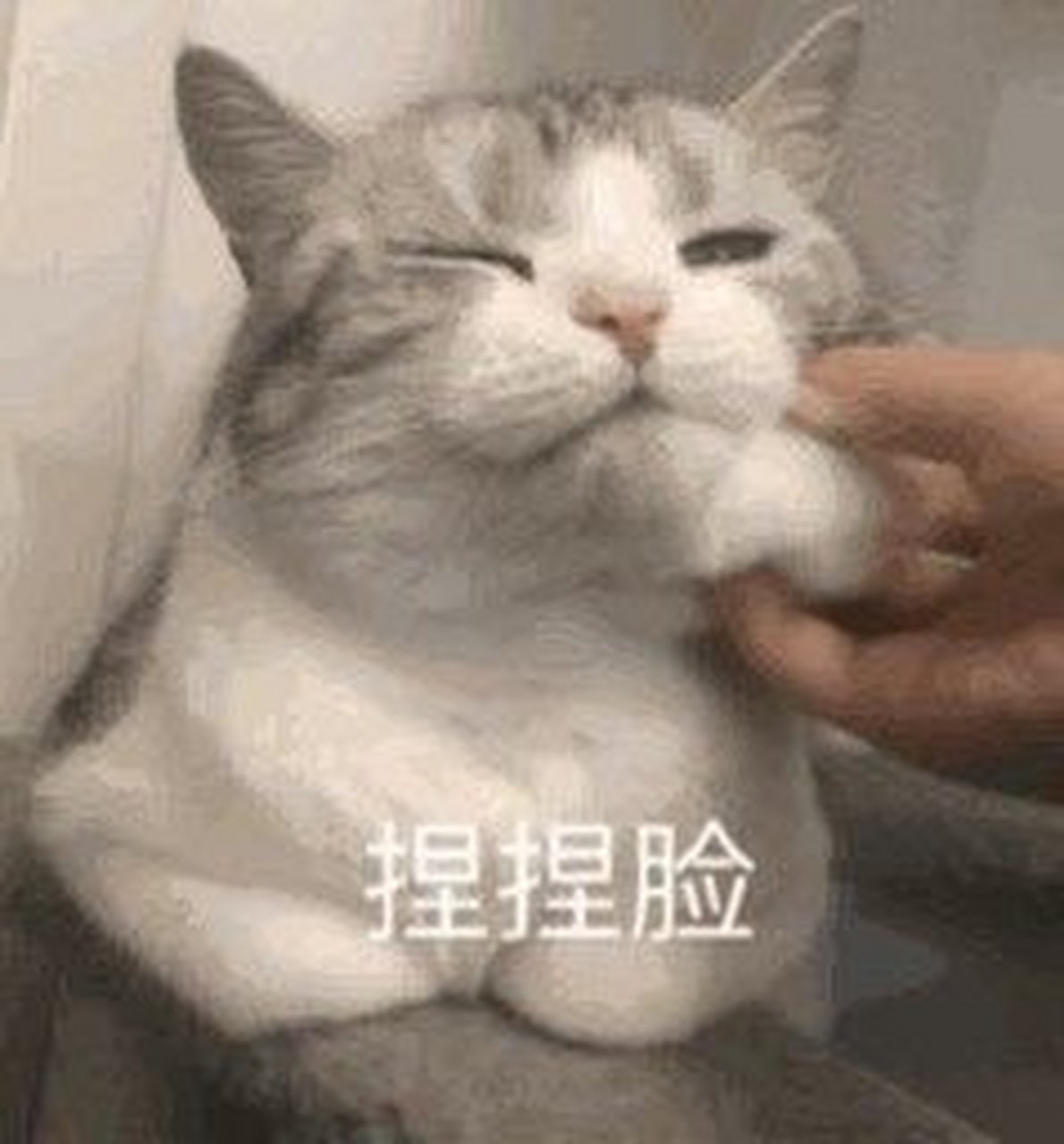 达成一致 捏捏脸 这就是大人的世界吗 到我床上来 难搞哦 别走,不许你