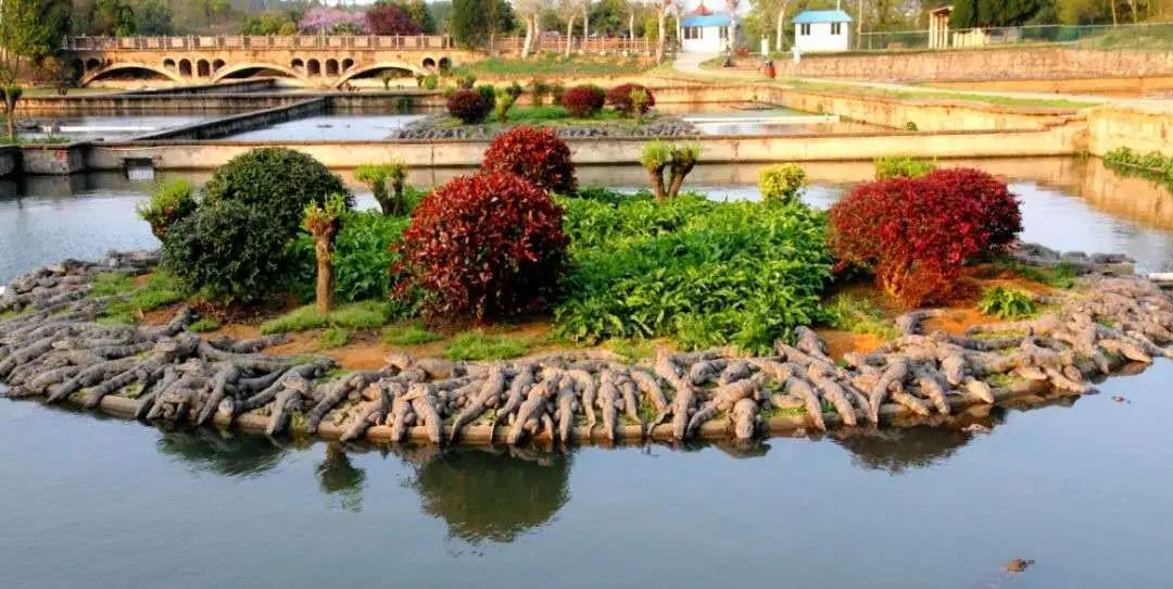 山屿海亲心谷度假区简介