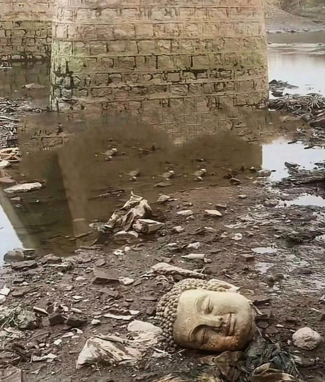 泥菩萨过江自身难保[滑稽],#新同学超有梗