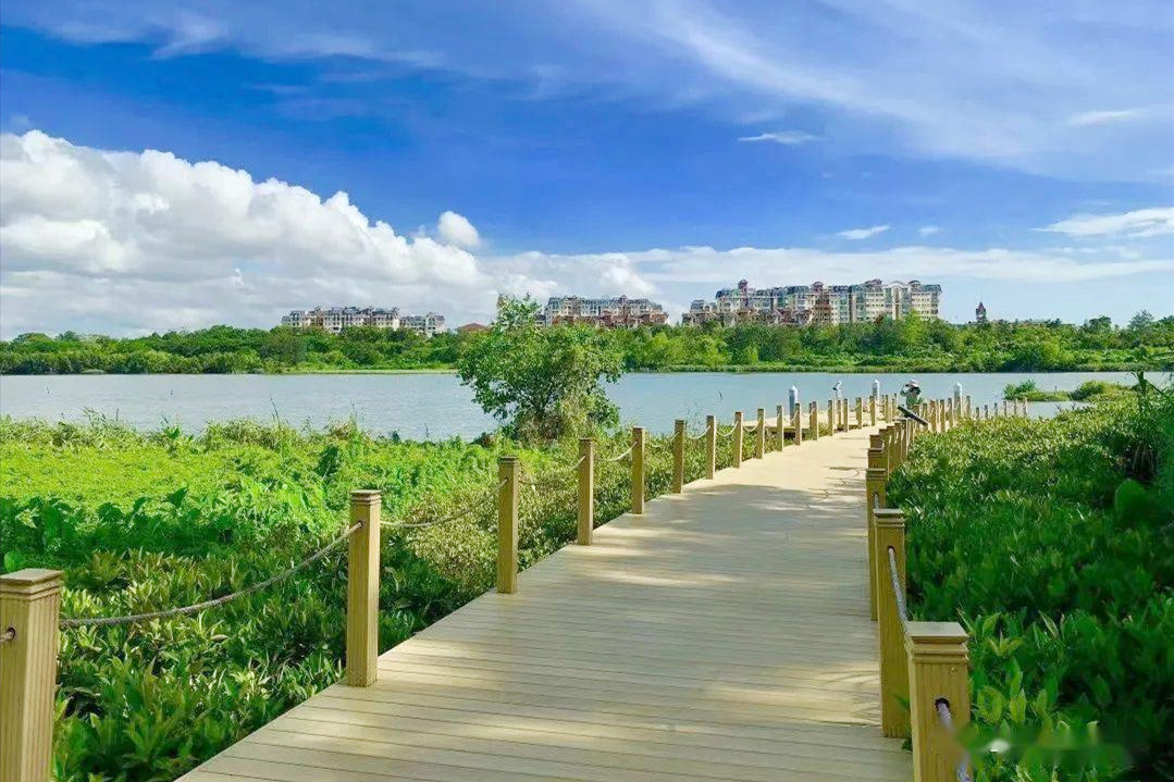 深圳华侨城湿地公园