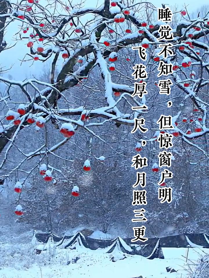 雪尤袤图片