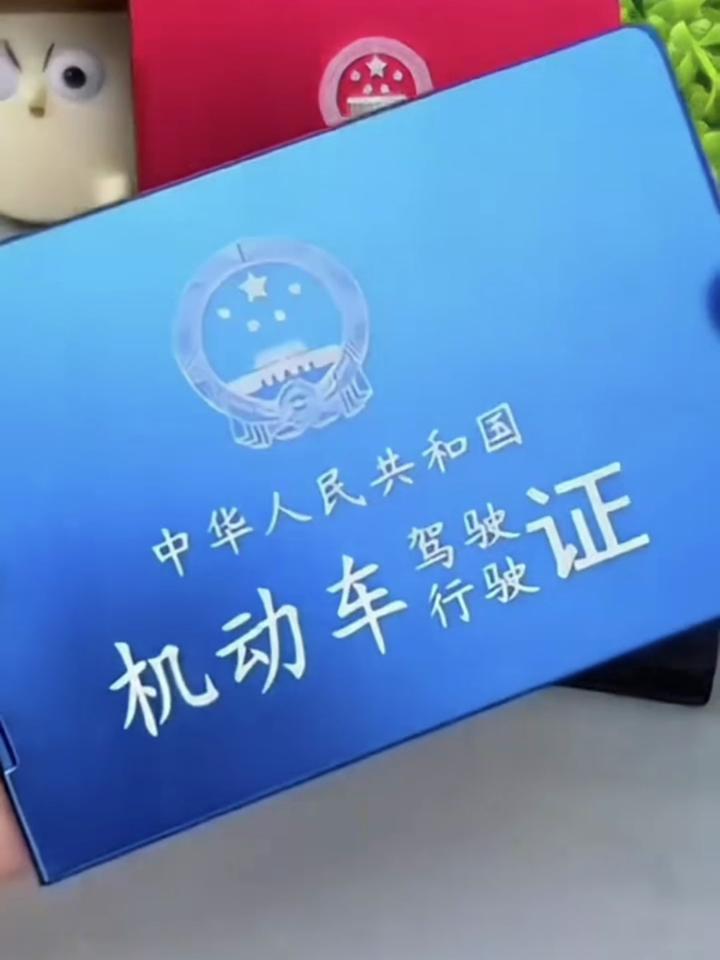 开车证图片