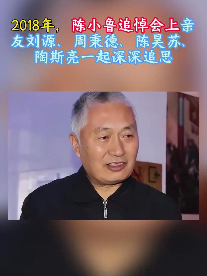 陈小鲁安邦图片