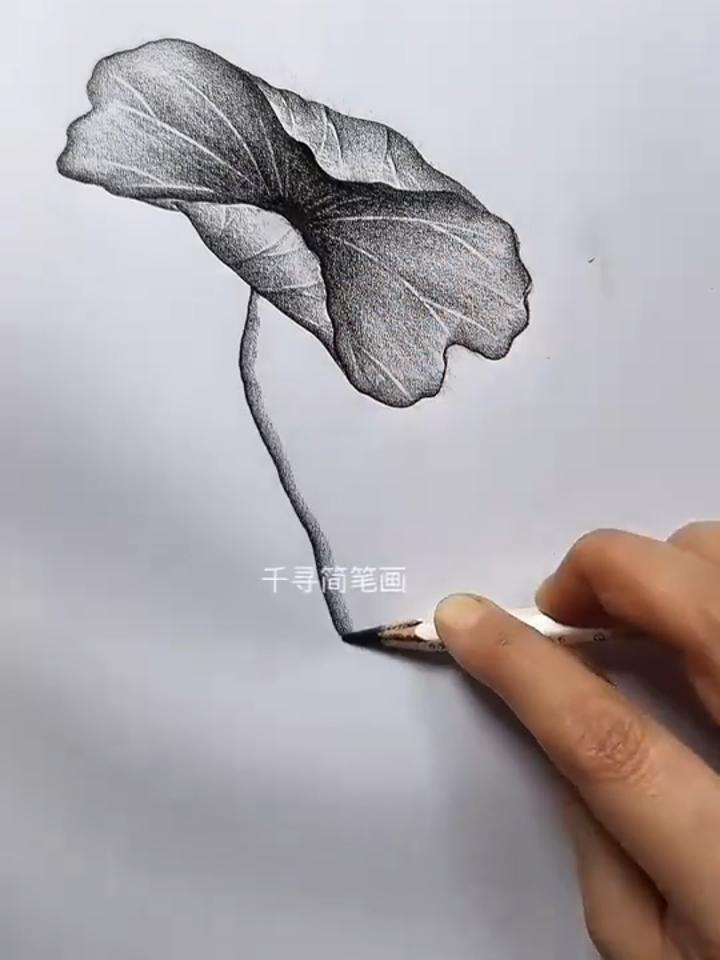 简单几笔画荷花