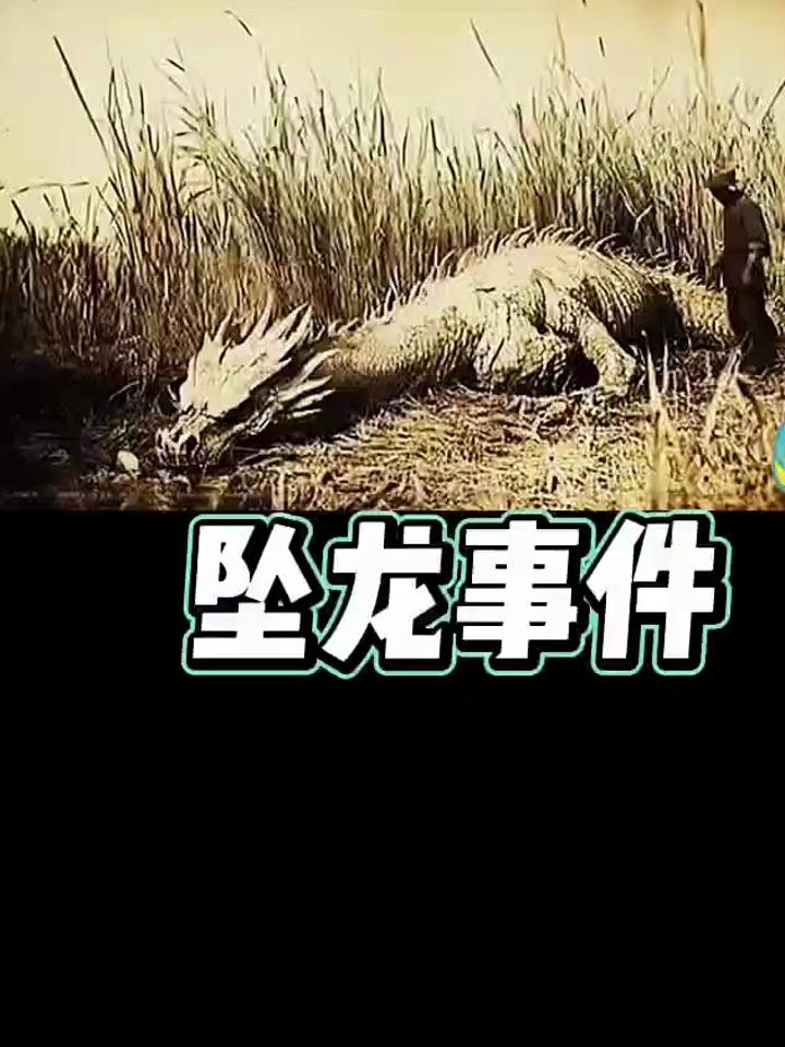 龙坠龙事件蛟龙